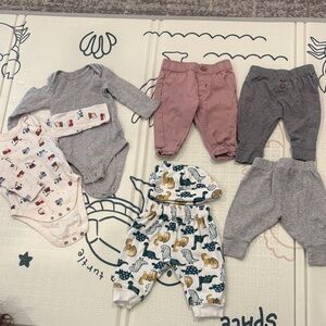 Baby Clothing Lot with Animal Prints and Solid Colors